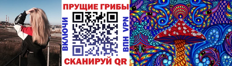 Галлюциногенные грибы Psilocybine cubensis Елабуга
